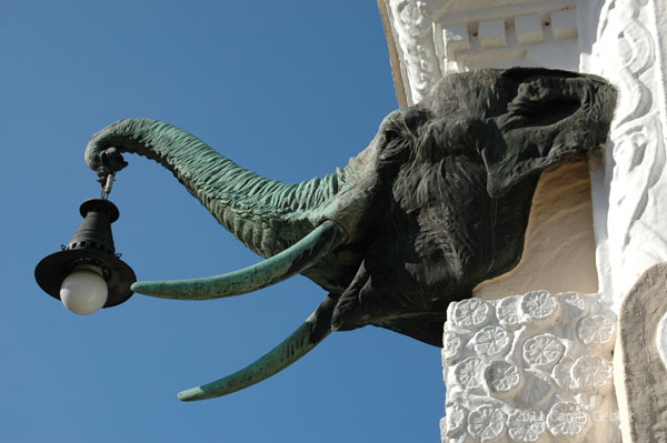 Bild des Tages vom 11.04.2026