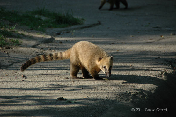 Bild des Tages vom 24.02.2026